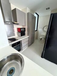 The Suites At Central (D9), Condominium #486293961